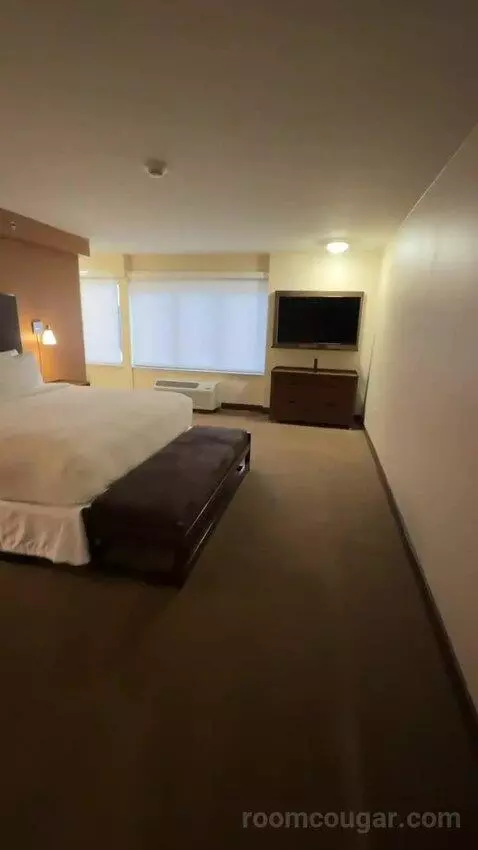 Executive Suite, 1 King, Towers Building (#801) bed picture #6