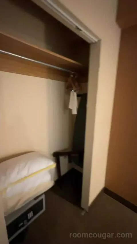Executive Suite, 1 King, Towers Building (#801) picture #15