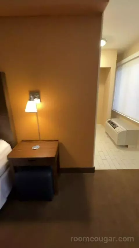 Executive Suite, 1 King, Towers Building (#801) picture #17