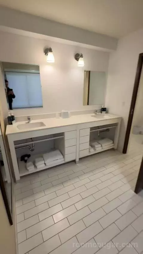 Executive Suite, 1 King, Towers Building (#801) bathroom picture #1