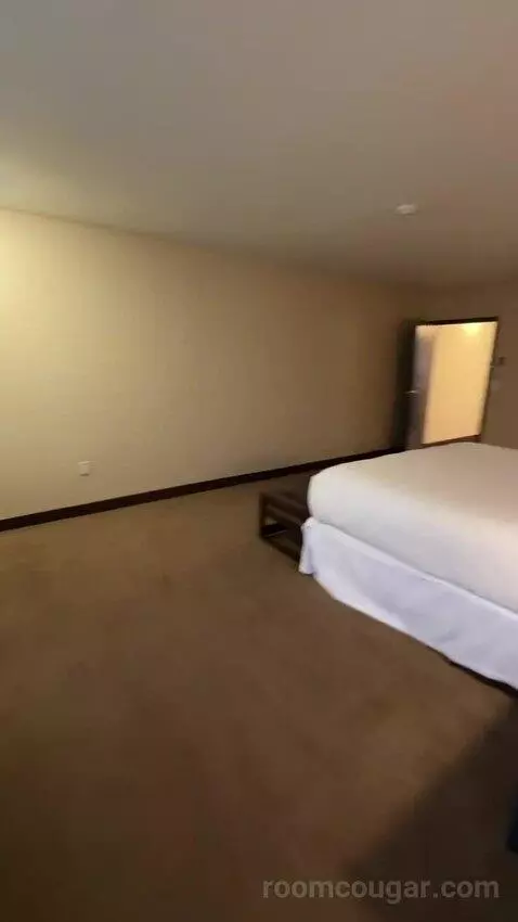 Executive Suite, 1 King, Towers Building (#801) bed picture #7