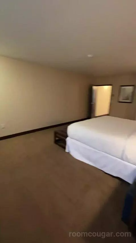 Executive Suite, 1 King, Towers Building (#801) bed picture #8
