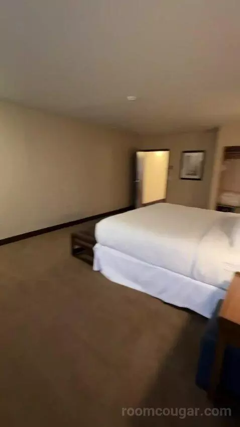 Executive Suite, 1 King, Towers Building (#801) bed picture #9