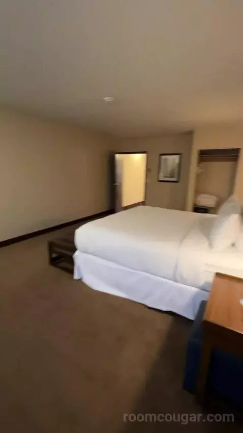 Executive Suite, 1 King, Towers Building (#801) bed picture #10