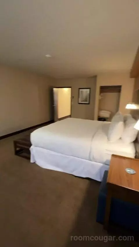 Executive Suite, 1 King, Towers Building (#801) bed picture #11