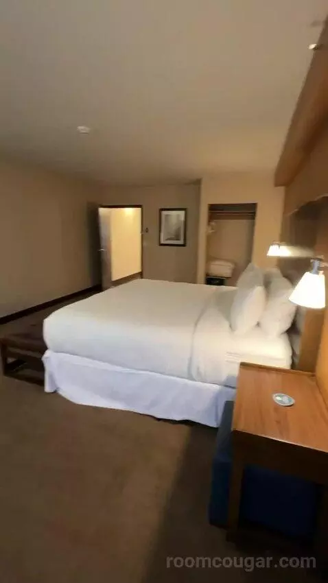 Executive Suite, 1 King, Towers Building (#801) bed picture #12
