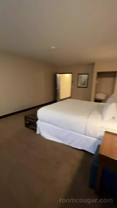 Executive Suite, 1 King, Towers Building (#801) picture #24