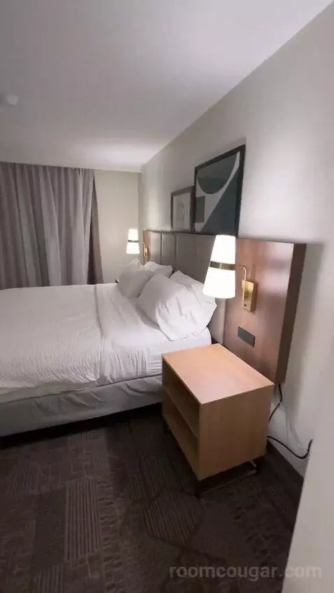 One-Bedroom King Suite with Sofa Bed (#255) bed picture #5