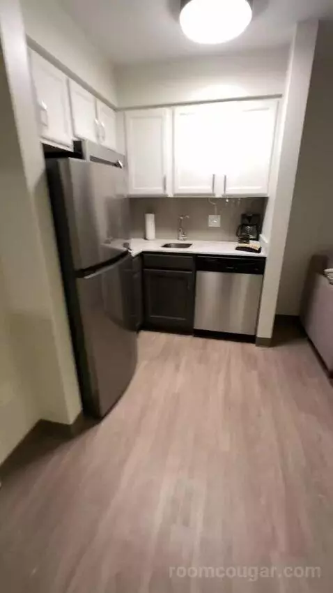 2 Bedroom Suite, 1 King, 1 Queen (#220) picture #13