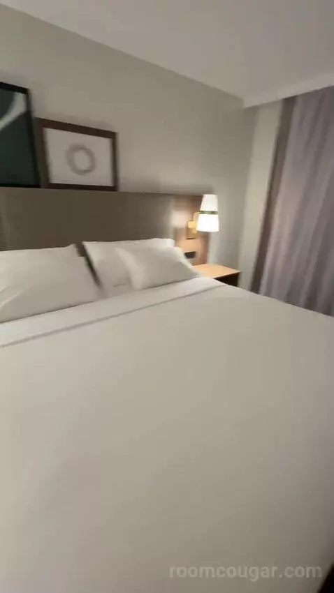 2 Bedroom Suite, 1 King, 1 Queen (#220) bed picture #9
