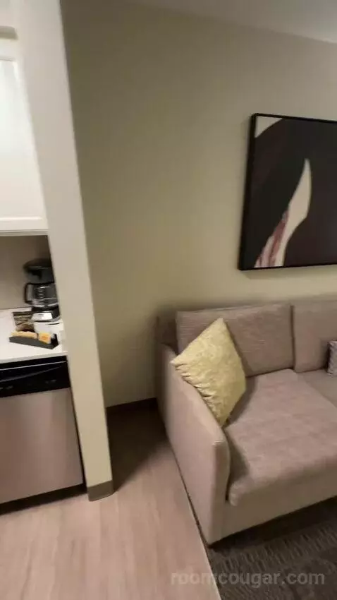 2 Bedroom Suite, 1 King, 1 Queen (#220) picture #3