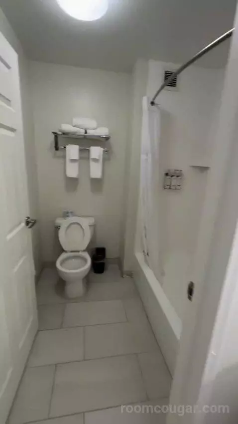2 Bedroom Suite, 1 King, 1 Queen (#220) bathroom picture #8