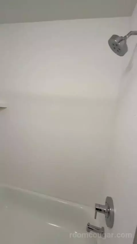 2 Bedroom Suite, 1 King, 1 Queen (#220) bathroom picture #9