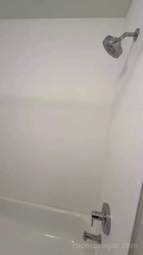 2 Bedroom Suite, 1 King, 1 Queen (#220) bathroom picture #10