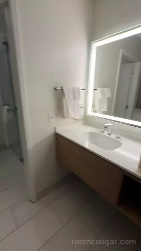 2 Bedroom Suite, 1 King, 1 Queen (#220) bathroom picture #5