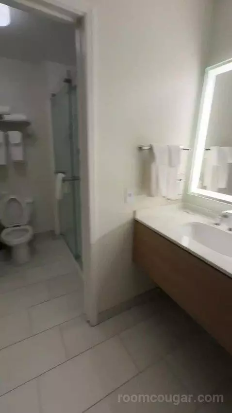 2 Bedroom Suite, 1 King, 1 Queen (#220) bathroom picture #6