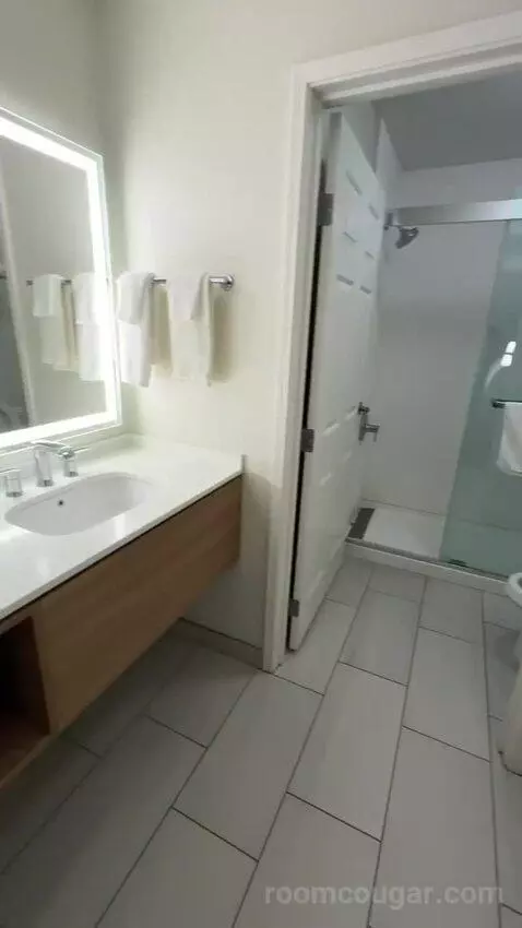 2 Double 1 Bedroom Suite (#307) bathroom picture #8