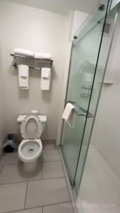 2 Double, 1 Queen, 2 Bedroom Suite (#302) bathroom picture #3
