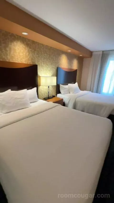 Queen Studio with Two Queen Beds and Sofa Bed (#316) picture #16