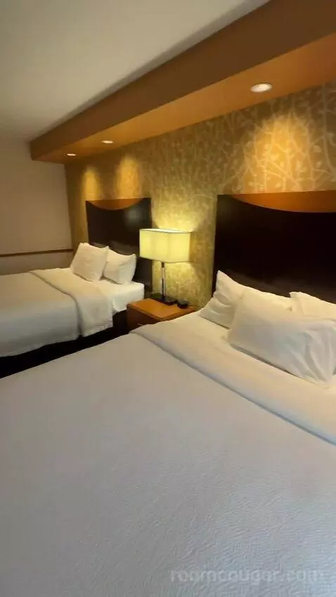 Queen Studio with Two Queen Beds and Sofa Bed (#316) picture #23