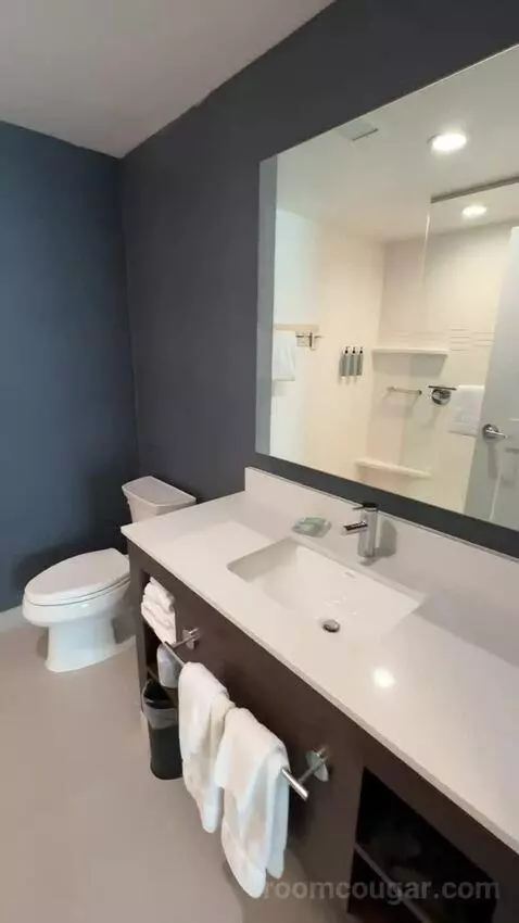 King Studio with Sofa Bed bathroom picture #7