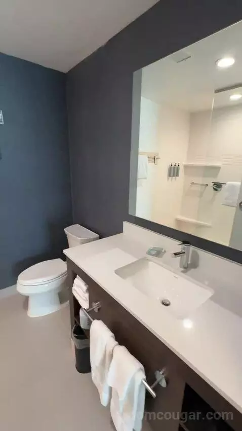 King Studio with Sofa Bed bathroom picture #8
