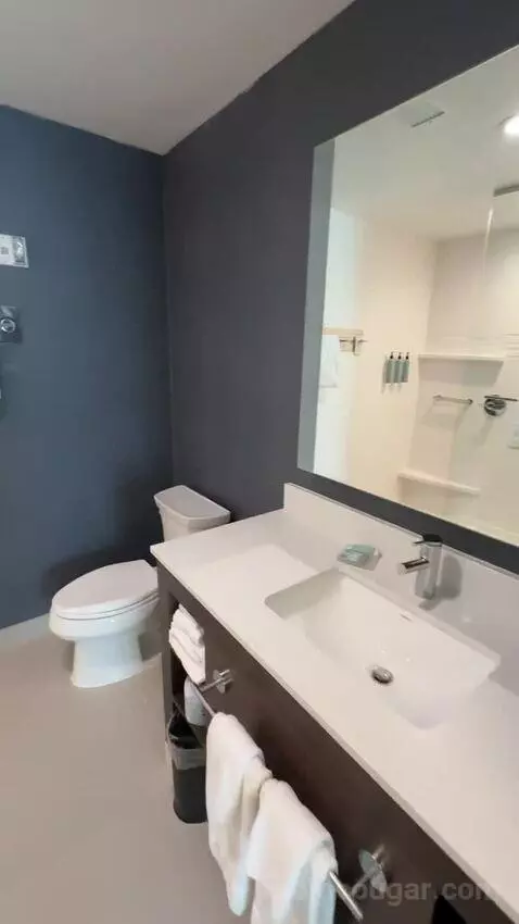 King Studio with Sofa Bed bathroom picture #9