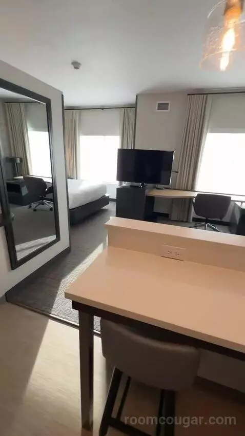 King Studio with Sofa Bed bed picture #1