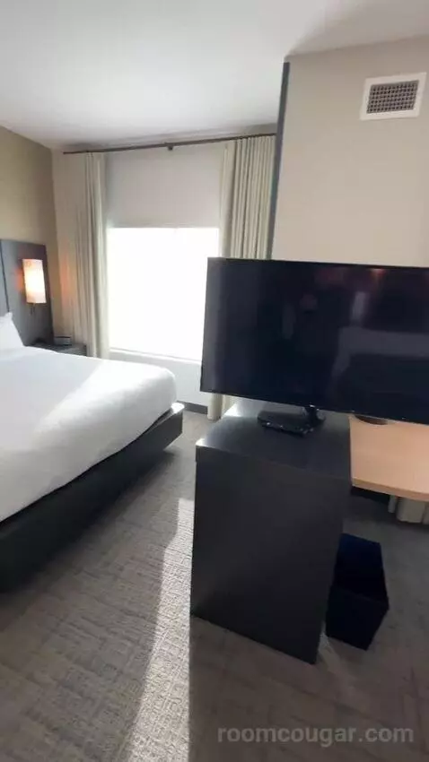King Studio with Sofa Bed bed picture #3