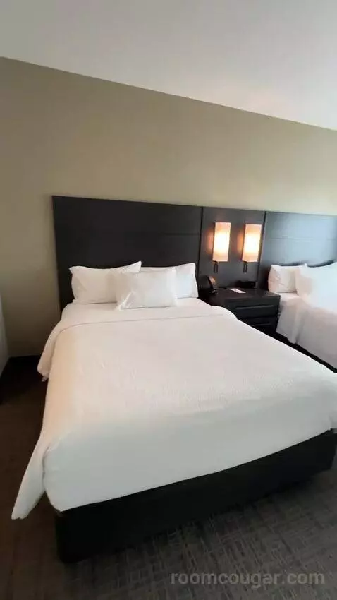 One-Bedroom Suite with Two Queen Beds and Sofa Bed bed picture #1
