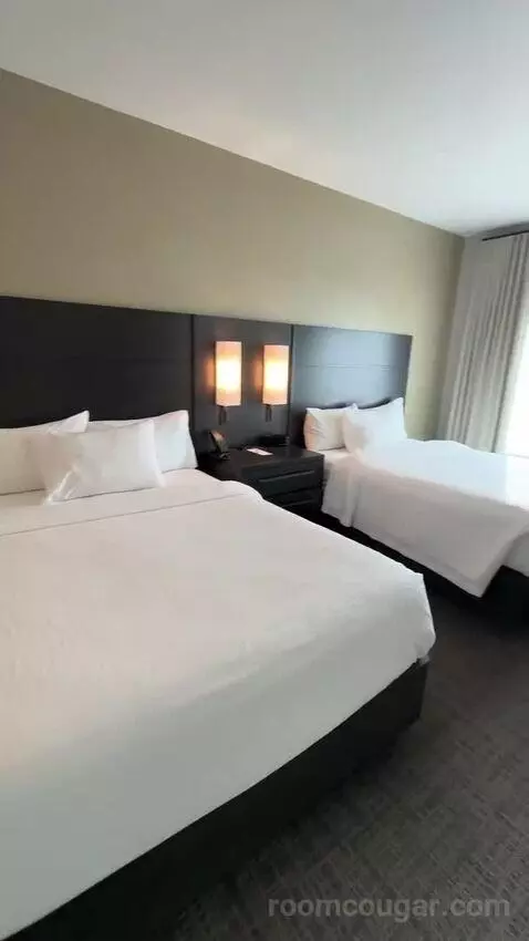 One-Bedroom Suite with Two Queen Beds and Sofa Bed bed picture #4