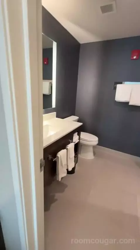 One-Bedroom Suite with Two Queen Beds and Sofa Bed bathroom picture #2