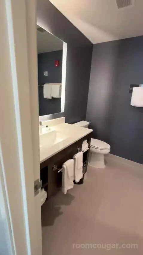 One-Bedroom Suite with Two Queen Beds and Sofa Bed bathroom picture #3