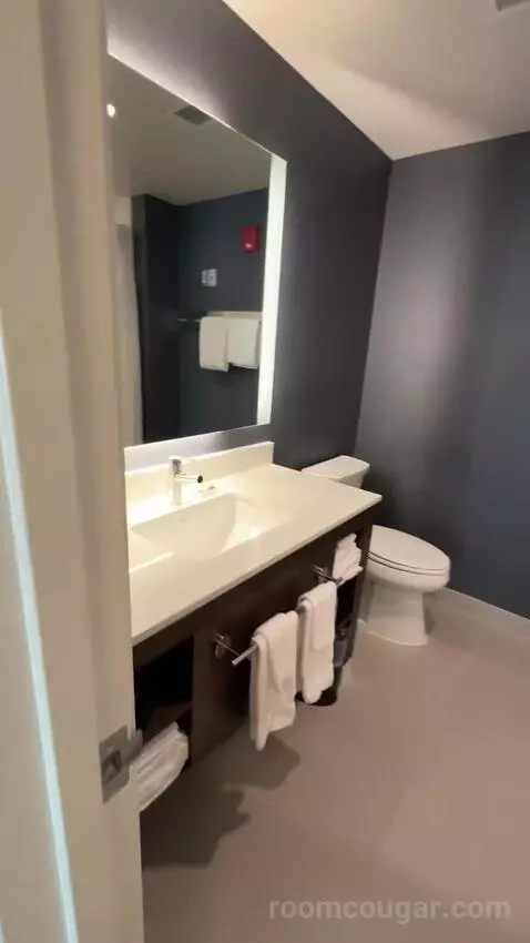 One-Bedroom Suite with Two Queen Beds and Sofa Bed bathroom picture #4