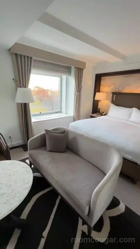 Park View Room, 1 King Bed (#810) bed picture #1