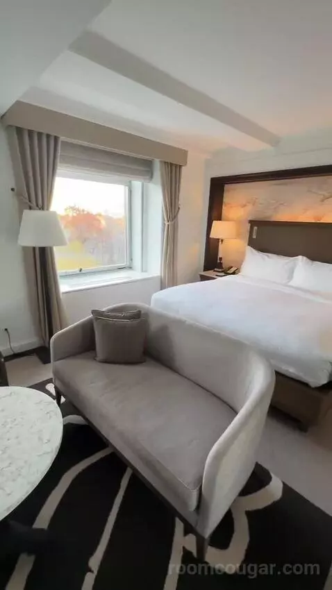 Park View Room, 1 King Bed (#810) bed picture #2