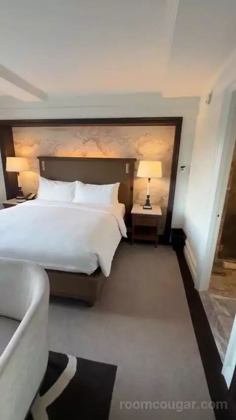 Park View Room, 1 King Bed (#810) bed picture #4