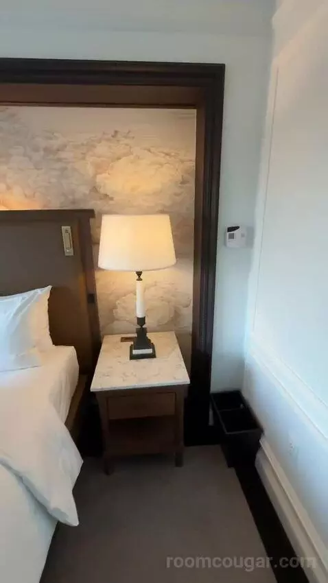 Park View Room, 1 King Bed (#810) bed picture #6