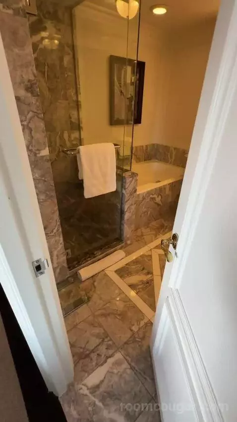 Park View Room, 1 King Bed (#810) bathroom picture #1