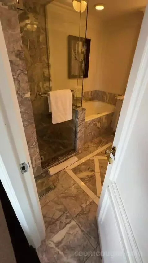 Park View Room, 1 King Bed (#810) bathroom picture #2