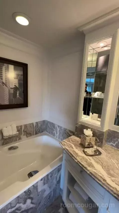 Park View Room, 1 King Bed (#810) bathroom picture #3
