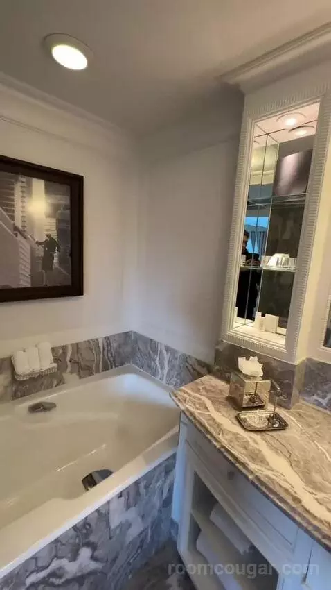 Park View Room, 1 King Bed (#810) bathroom picture #4