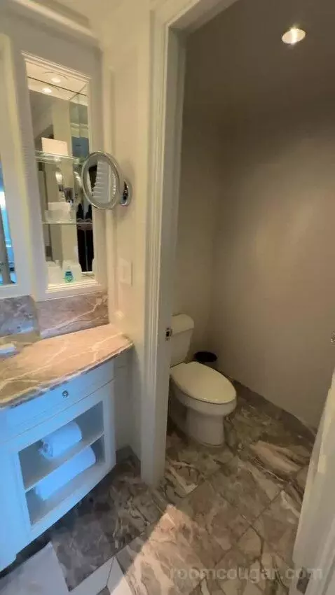 Park View Room, 1 King Bed (#810) bathroom picture #9