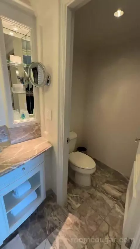 Park View Room, 1 King Bed (#810) bathroom picture #10