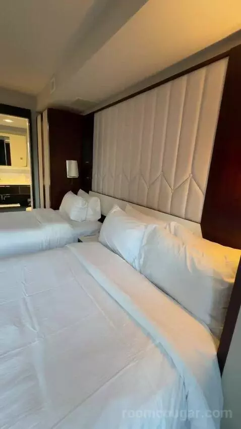 Family Studio Suite, Studio, 1 Double or 1 Twin, City View bed picture #2