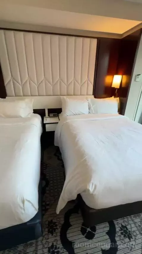 Family Studio Suite, Studio, 1 Double or 1 Twin, City View bed picture #5
