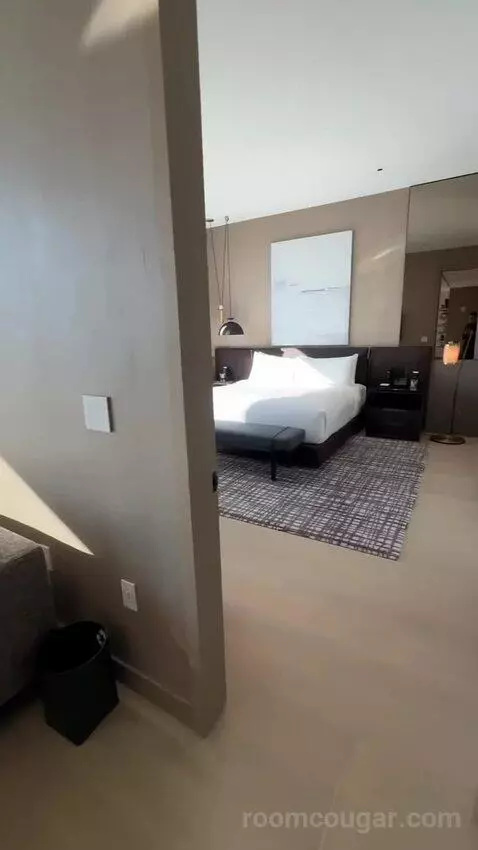 Executive Penthouse bed picture #9