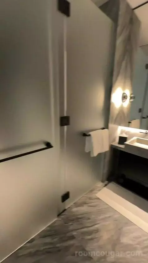 Executive Penthouse bathroom picture #8