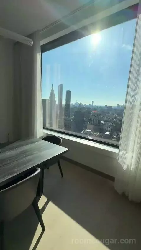 Executive Penthouse view picture #7