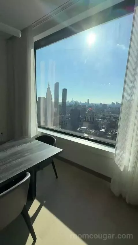 Executive Penthouse view picture #8